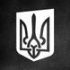Трафарет DFA Індіанець жінка для шпаклівки та фарби 0,3-1мм (X00013) XS00003 фото 1